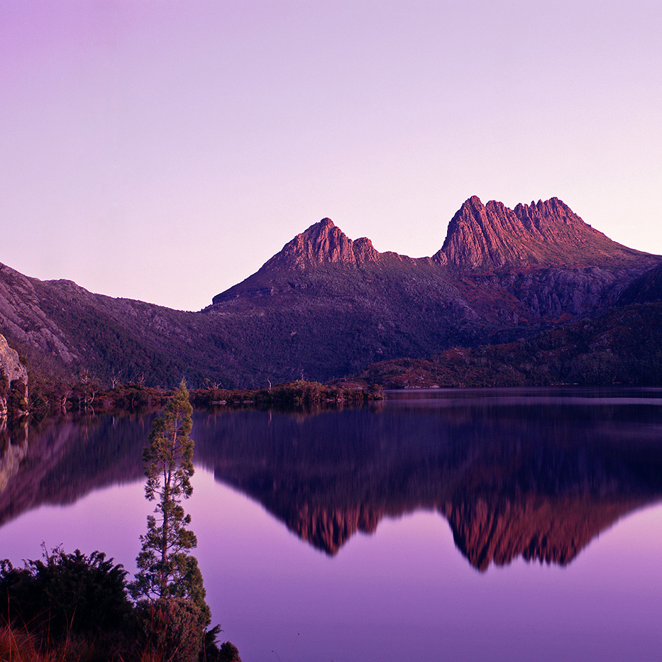 Tasmania